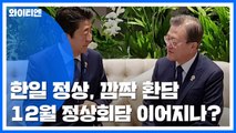 한일 정상, 13개월 만에 '깜짝 환담'...12월 정상회담으로 이어질까 / YTN