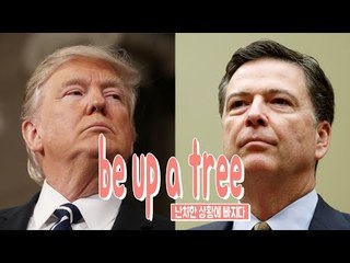 be up a tree - 난처한 상황에 빠지다