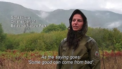 In Bulgaria, nature leaves green legacy along Iron Curtain route