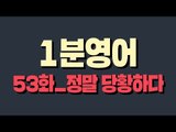 [영어초보를 위한 1분영어] Have ants in one's pants : 정말 당황하다