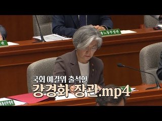 '추경 심사' 국회 예결위 출석한 강경화 장관.mp4