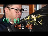 MB 구치소 가던 날…시형은 눈물, 시민은 계란