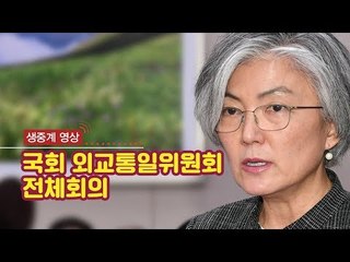 [생중계영상] 5월 17일 국회 외교통일위원회 전체회의