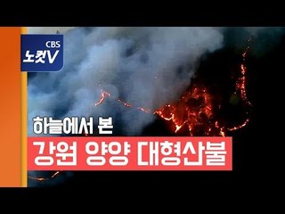20ha 태운 강원 양양 산불...20시간 만에 진화
