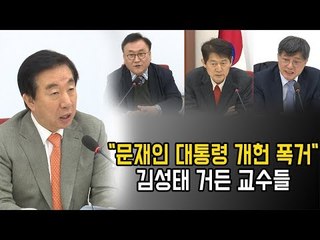 "문재인 대통령 개헌 폭거" 김성태 거든 교수들