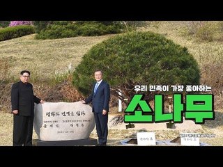 [남북정상회담] 남북 정상 공동 식수…평화와 번영을 심다