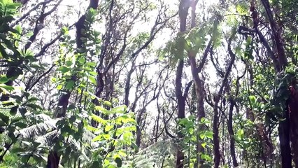 Gracias a Esta Foto Tomada Desde un Avión, Se Encontraron Personas en una Isla en el Medio del Mar