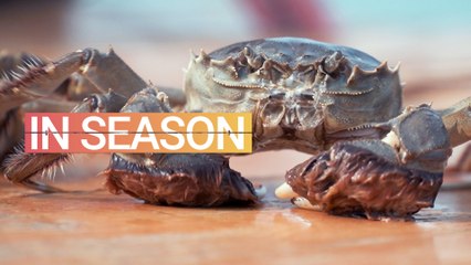 Hairy Crabs Are Delicious. So Why Can’t You Get Them in the U.S.?