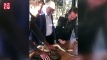 Orhan Gencebay, Park Of İstanbul’u gezdi, yılanları böyle sevdi