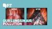 How Have Our Lungs Changed With Air Pollution?