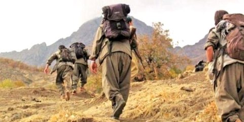 Terör örgütü yöneticilerini ihbar edene 10 milyon liraya kadar ödül verilecek