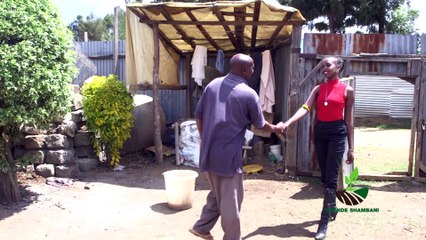 Twende Shambani: Strawberry farming: PART ONE