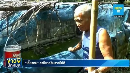 "เลี้ยงกบ" อาชีพเสริมรายได้ดี | NEW18