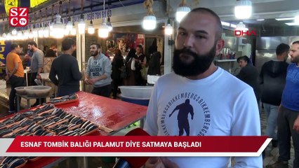 Vatandaşa palamut diye tombik yedirdiler