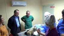 Sinop-avrupalı veteriner adayları, sokak hayvanları için seferber
