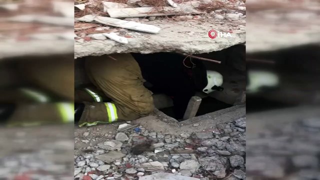 Kuyuya düşen yavru köpekler itfaiye ekipleri tarafından kurtarıldı