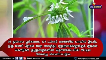 தும்பை செடியின் மருத்துவ நன்மைகள்!