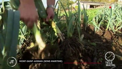 Incendie de l'usine Lubrizol : une catastrophe pour les producteurs de fruits et légumes