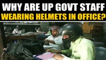 UP Electricity Dept employees wear helmets in Office, video goes viral | OneIndia News