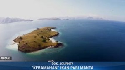 Takjub dengan Keindahan Pulau Komodo