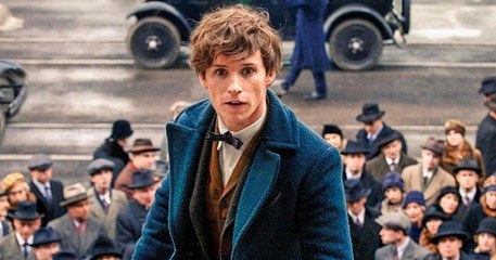 Les Animaux Fantastiques 3 : la date et le lieu de tournage révélés