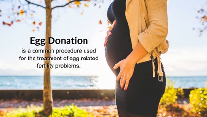 Egg Donor & Surrogacy - Jacksonville Center for Reproductive Medicine