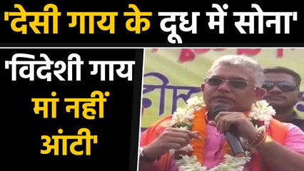 Bengal BJP अध्यक्ष का दावा- Indian की cows के Milk में Gold, विदेशी गायें माता नहीं Aunty । वनइंडिया