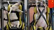 Peneliti China gunakan babi hidup untuk dummy tes kecelakaan - TomoNews