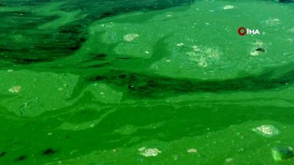 Atatürk Barajında korkutan görüntü