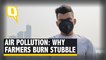 Delhi Air Pollution: Why Punjab & Haryana Burn Stubble Every Year