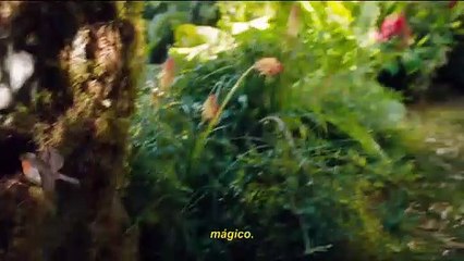 O Jardim Secreto Filme