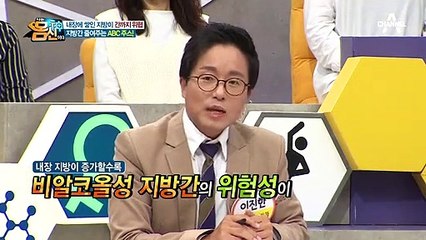 ♨충격♨ 내장 지방이 증가할수록 지방간, 당뇨병의 위험성이 높아진다...?