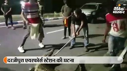 विशाल मगरमच्छ देख सहमे लोग, काबू करने में लगे 2 घंटे