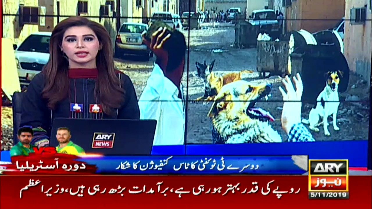 کراچی میں کتے کے کاٹے کا مریض علاج کے باوجود فو...
