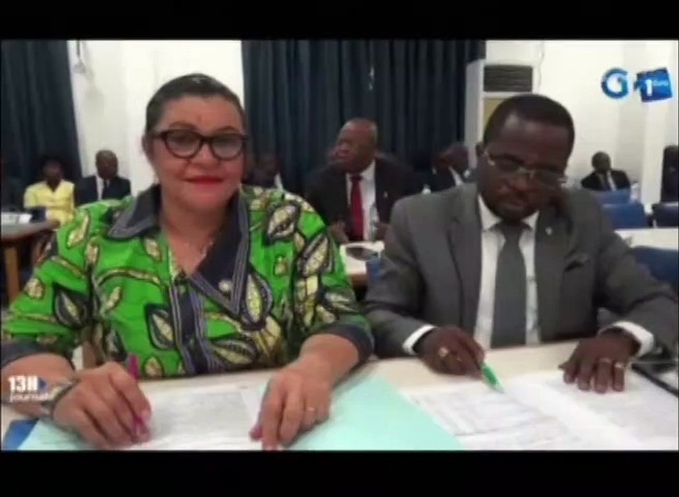 RTG - Le Ministre de l’économie, Roger Owono Mba édifie la population sur l’exécution de la loi de règlement 2018