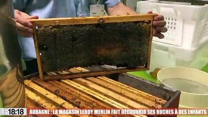 Aubagne : au magasin Leroy Merlin, les ruches sont pédagogiques