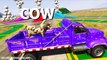 Spiderman 3D cartoon - Learn Zoo Animals on truck for Kids - Learn Colors for Children