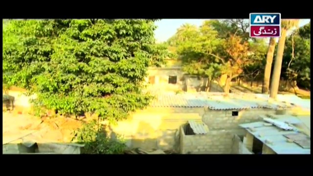 Mehmoodabad Ki Malkain Episode 234 & 235 - 5th November 2019