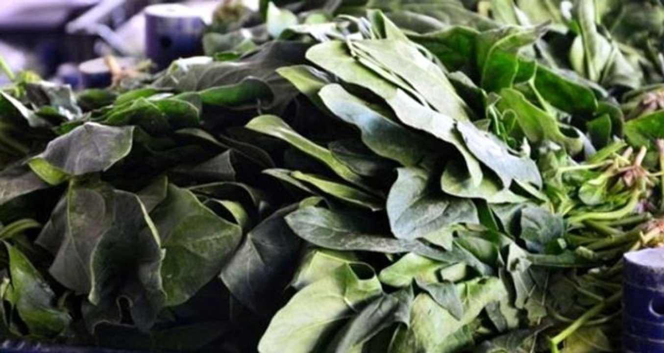 İstanbul Tarım ve Orman Müdürü Karaca'dan "ıspanak" açıklaması: Ispanakta sağlığa aykırı hiçbir şey bulunmadı
