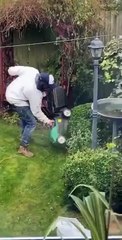Il taille un buisson en portant la tondeuse ! Malin le jardinier...