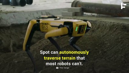 This Robot Can Autonomously Traverse the Roughest Terrain