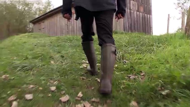 En Allemagne, la mue verte de l'ancien rideau de fer