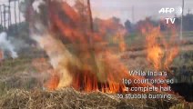 Indian farmers say they have no choice but to burn stubble despite alarming pollution levels