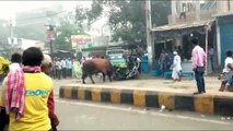 People watch in horror as rampaging bull attacks tuk-tuk and flips it in east India