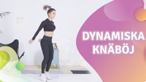 Dynamiska knäböj - Steg för Hälsa