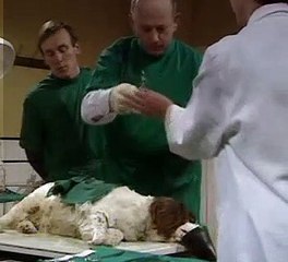 All Creatures Great & Small - s02e07 - Tricks of the Trade