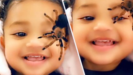 Stormi Laughs At Kylie Jenner Scaring Her With Spiders In New Video