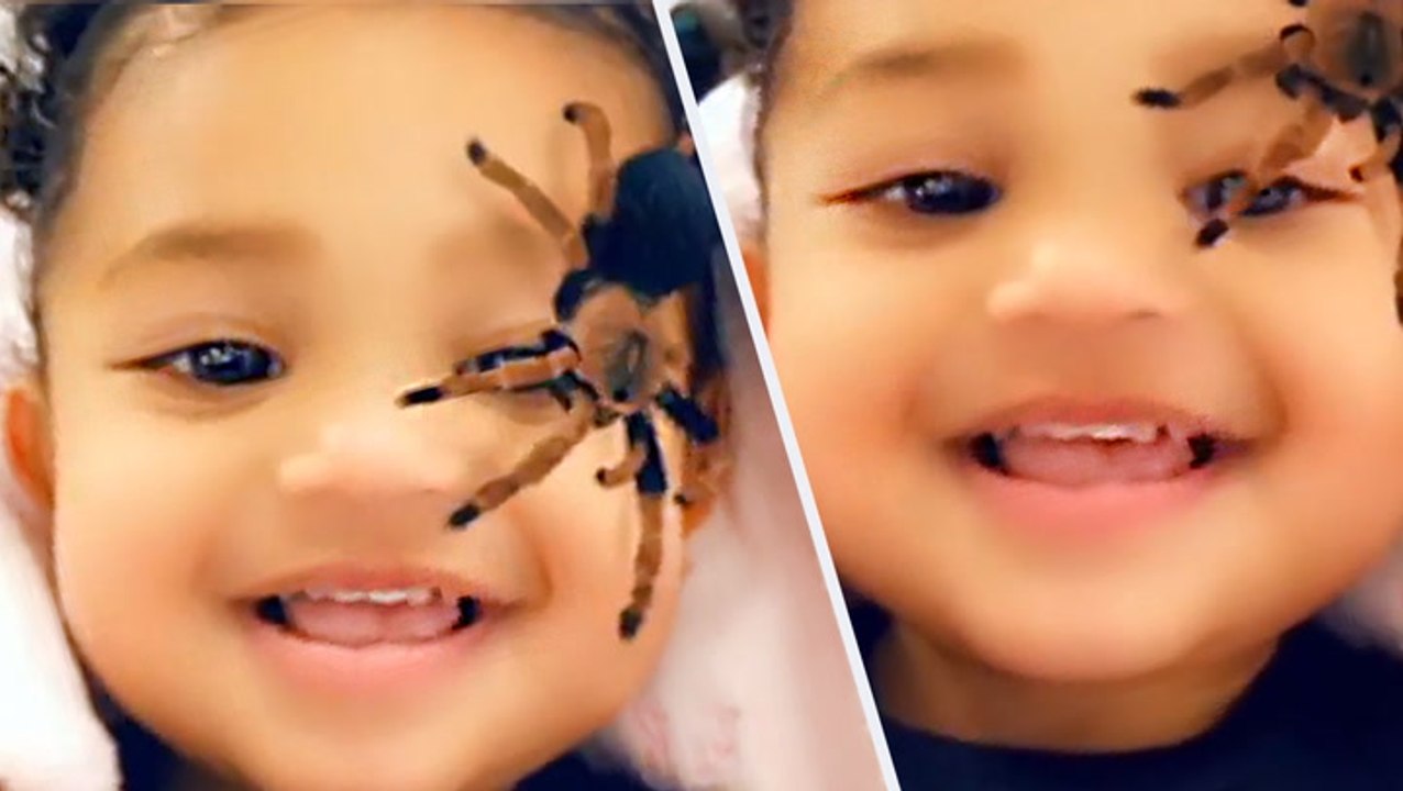 Stormi Laughs At Kylie Jenner Scaring Her With Spiders In New Video