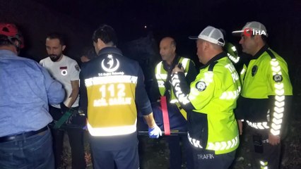 Sürücüsü rahatsızlanan kamyonet uçurumdan yuvarlandı: 2 yaralı