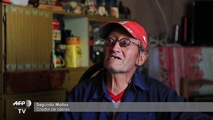 La cría de cabras, golpeada por la sequía en la tierra del Malbec en Argentina